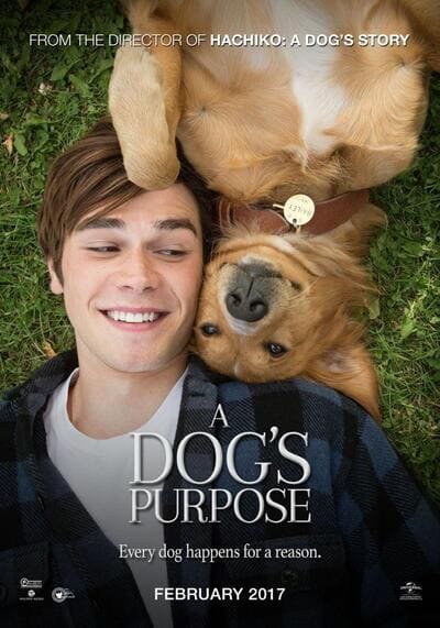 หมา เป้าหมาย และเด็กชายของผม ภาค 1 (A Dogs Purpose) 2017