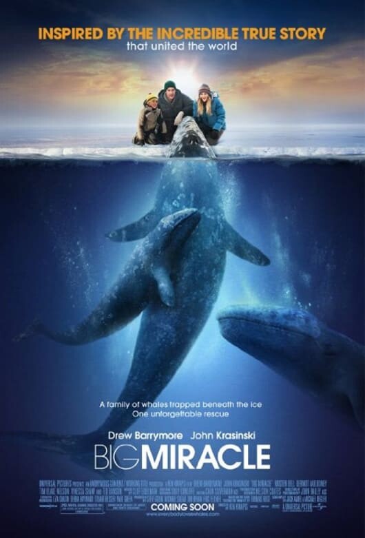 ปาฏิหาริย์วาฬสีเทา (Big Miracle) 2012