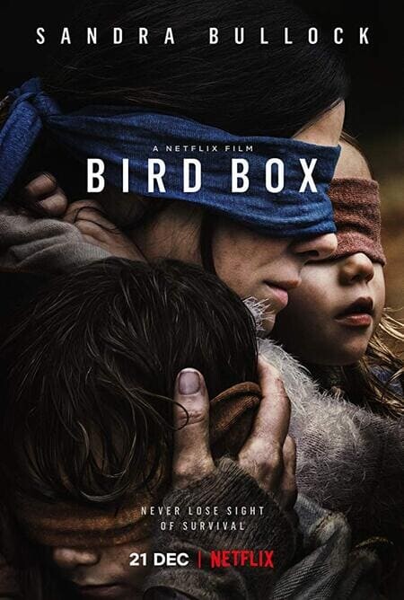 มอง อย่าให้เห็น (Bird Box) 2018