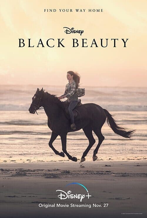 แบล็คบิวตี้ (Black Beauty) 2020