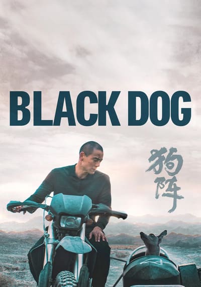 Black Dog สี่ขาหัวใจไม่ดำ (2024)