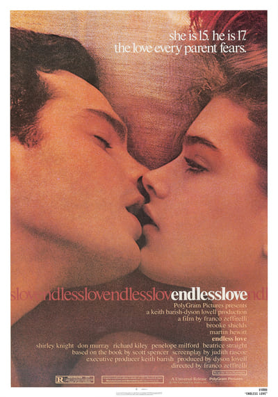 วุ่นรักไม่รู้จบ (Endless Love) 1981