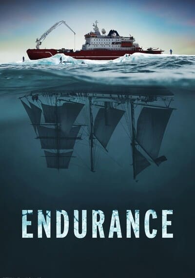 Endurance (2024)