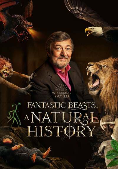 Fantastic Beasts A Natural History 2022