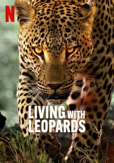 อยู่กับเสือดาว (Living with Leopards) 2024