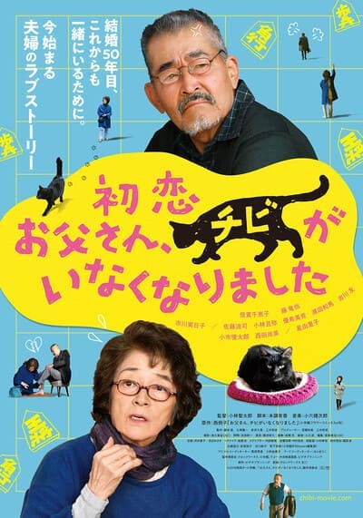 จ้าเหมียวจิบิ หายไปไหนนะ (Only The Cat Knows) 2019
