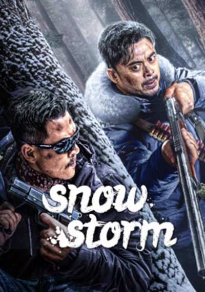 วิกฤตพายุหิมะ (SnowStorm) 2024