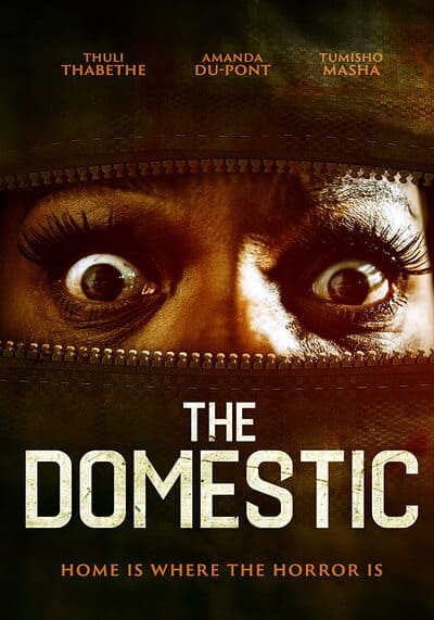 คนภายใน (The Domestic) 2022