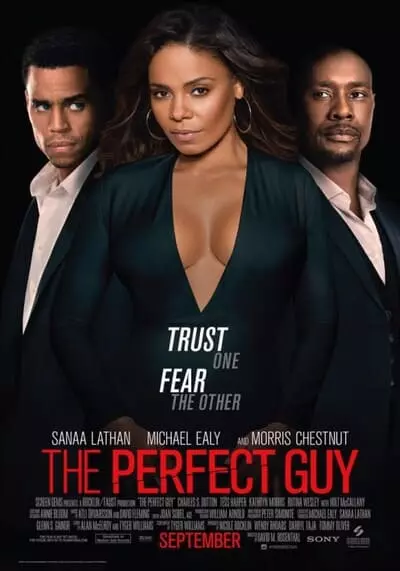 หลอนรักผู้ชายในฝัน (The Perfect Guy) 2015