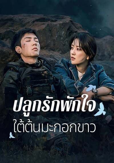 The White Olive Tree ปลูกรักพักใจ ใต้ต้นมะกอกขาว (2025) Ep.1-38 จบ