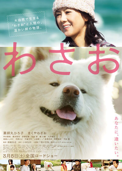 วาซาโอะ (Wasao)​​ 2011