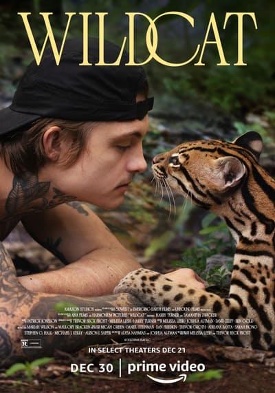 แมวป่า (Wildcat) 2022