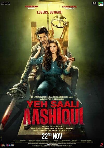 ฝันรัก ฝันร้าย (Yeh Saali Aashiqui) 2019