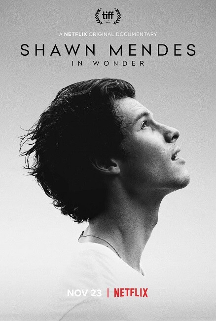 ชอว์น เมนเดส ช่วงเวลามหัศจรรย์ (Shawn Mendes In Wonder) 2020